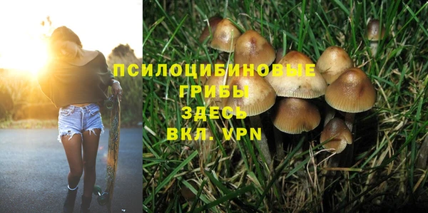 MESCALINE Армянск