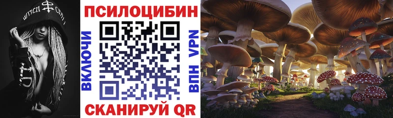 Псилоцибиновые грибы MAGIC MUSHROOMS  Купить  Екатеринбург 